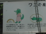 2006.7 055.jpg