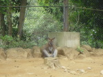 2006.7 071.jpg
